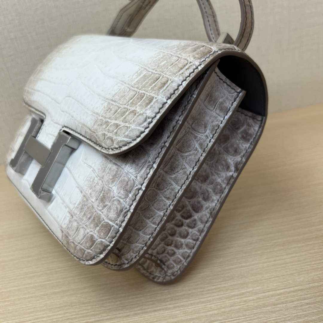 Hermes Constance Crocodile Leather Bag Beige Silver H282280