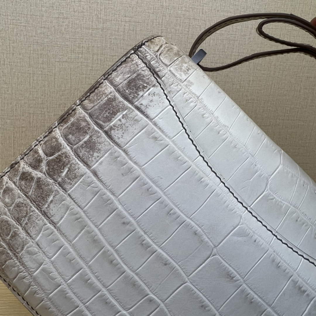 Hermes Constance Crocodile Leather Bag Beige Silver H282280