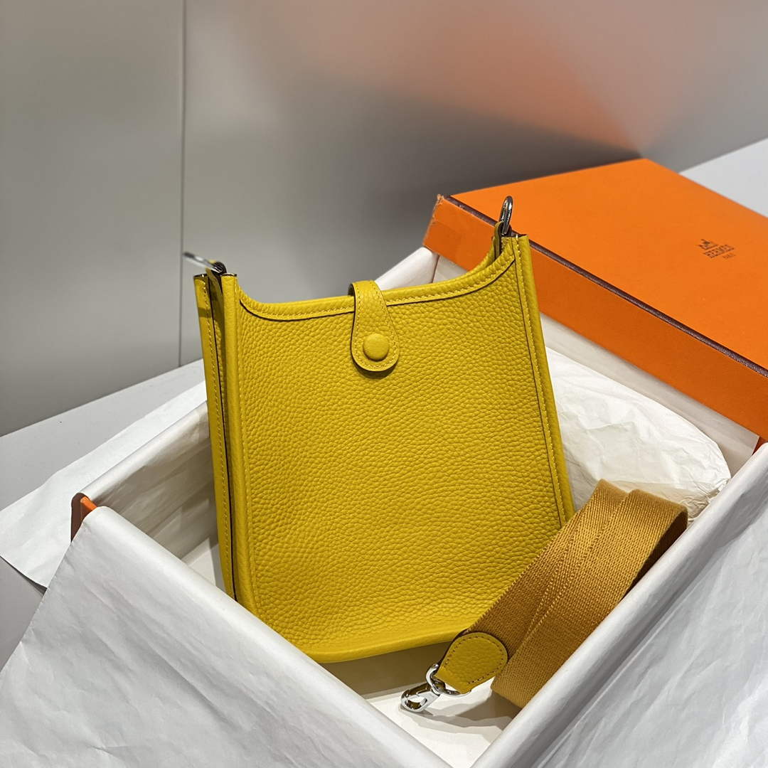 Hermes Mini Evelyne 16 Bag in Taurillon Clemence Leather H069456