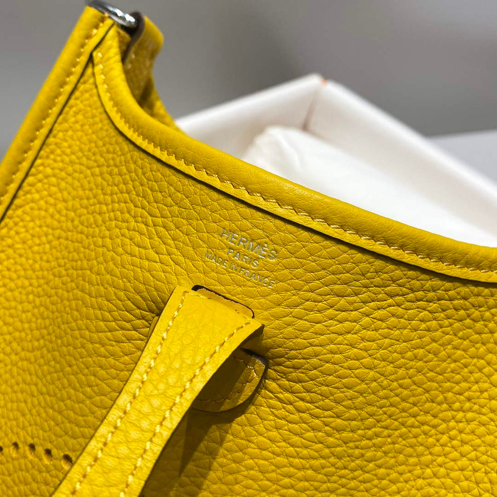 Hermes Mini Evelyne 16 Bag in Taurillon Clemence Leather H069456