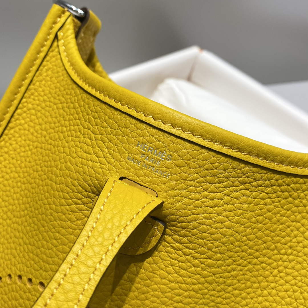Hermes Mini Evelyne 16 Bag in Taurillon Clemence Leather H069456
