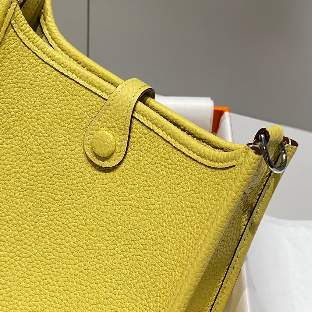 Hermes Mini Evelyne 16 Bag in Taurillon Clemence Leather H069460