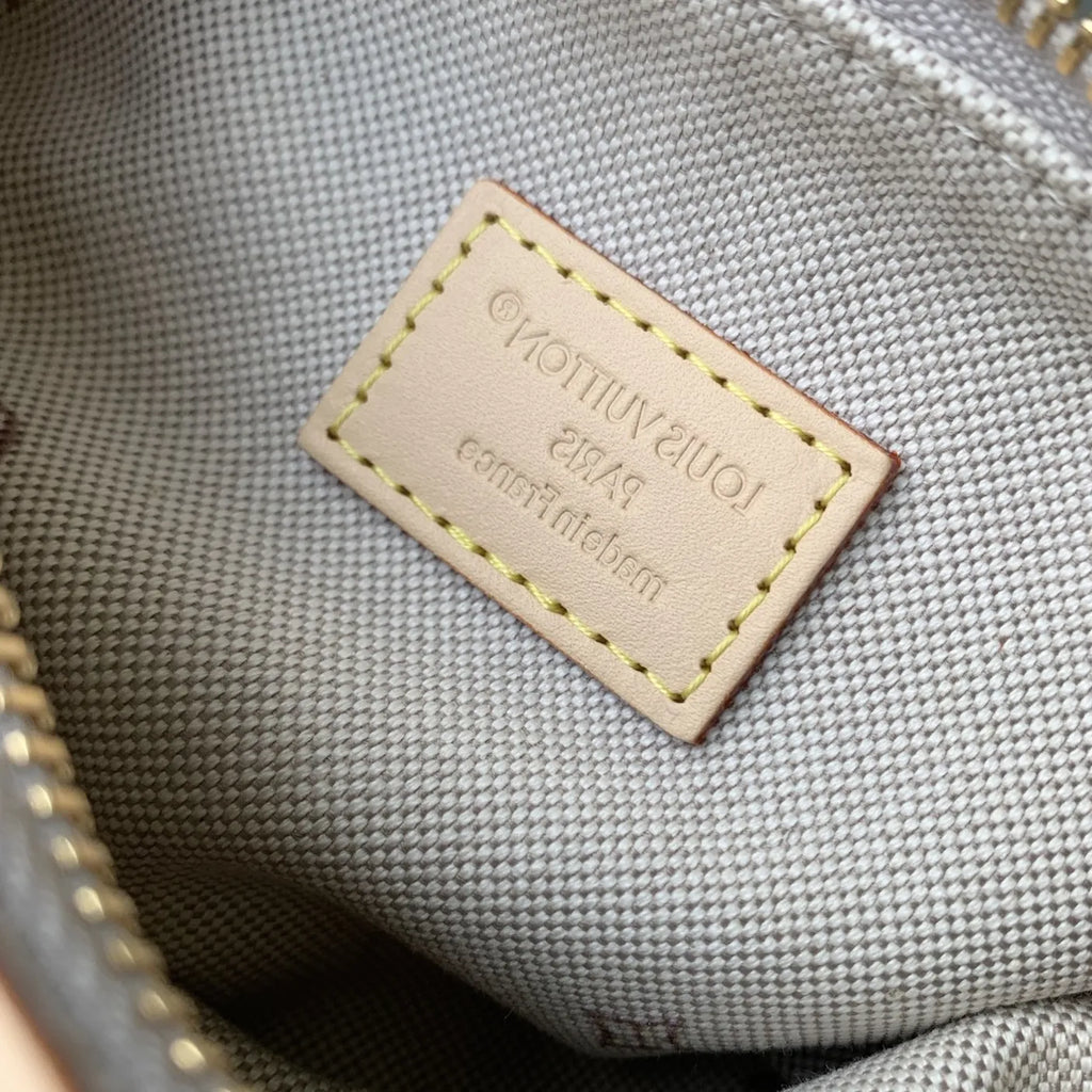 Louis Vuitton Hills Pochette Bag M29879 Monogram Emblème Peuplier