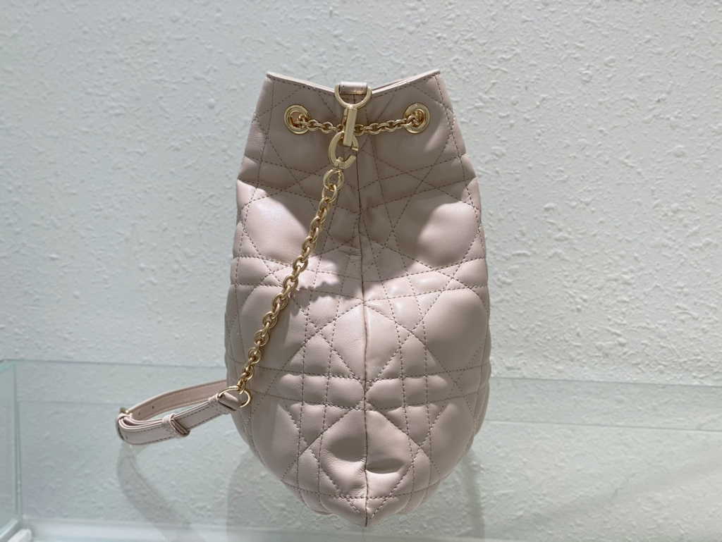 Large Dior Ammi Bag M22576 Apricot Supple Macrocannage Lambskin