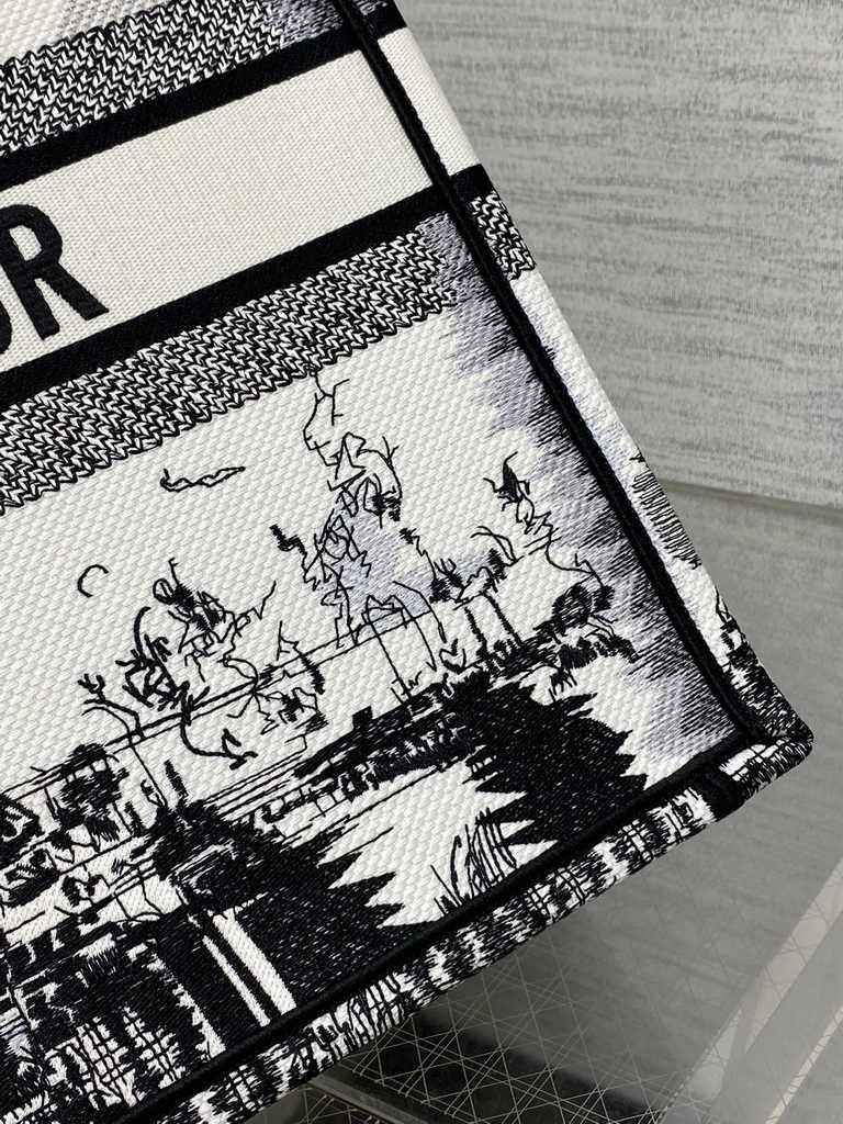 Large Dior Book Tote M1286 White and Black Paris Embroidery