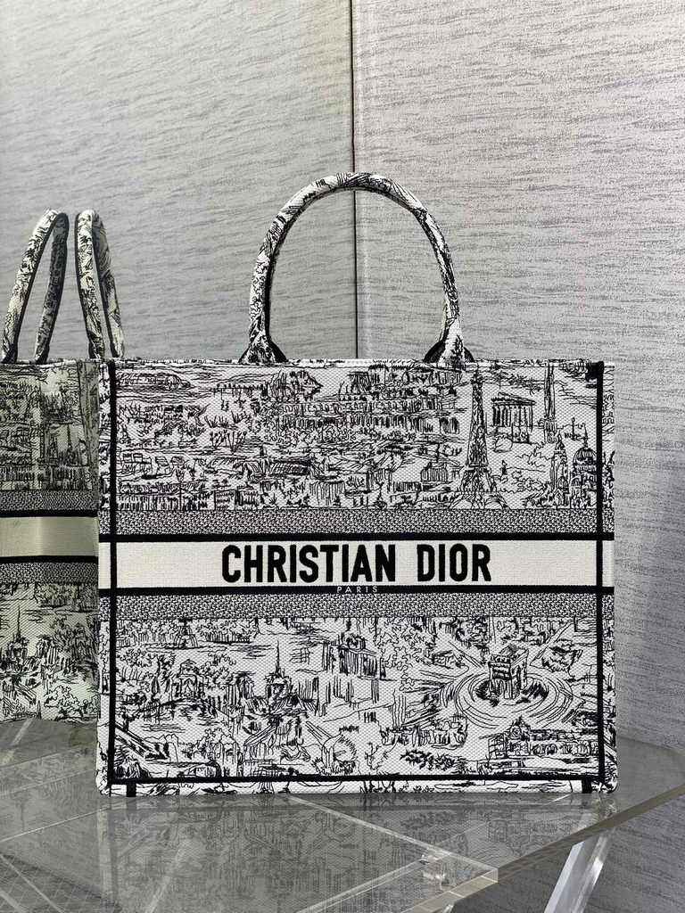 Large Dior Book Tote M1286 White and Black Paris Allover Embroidery