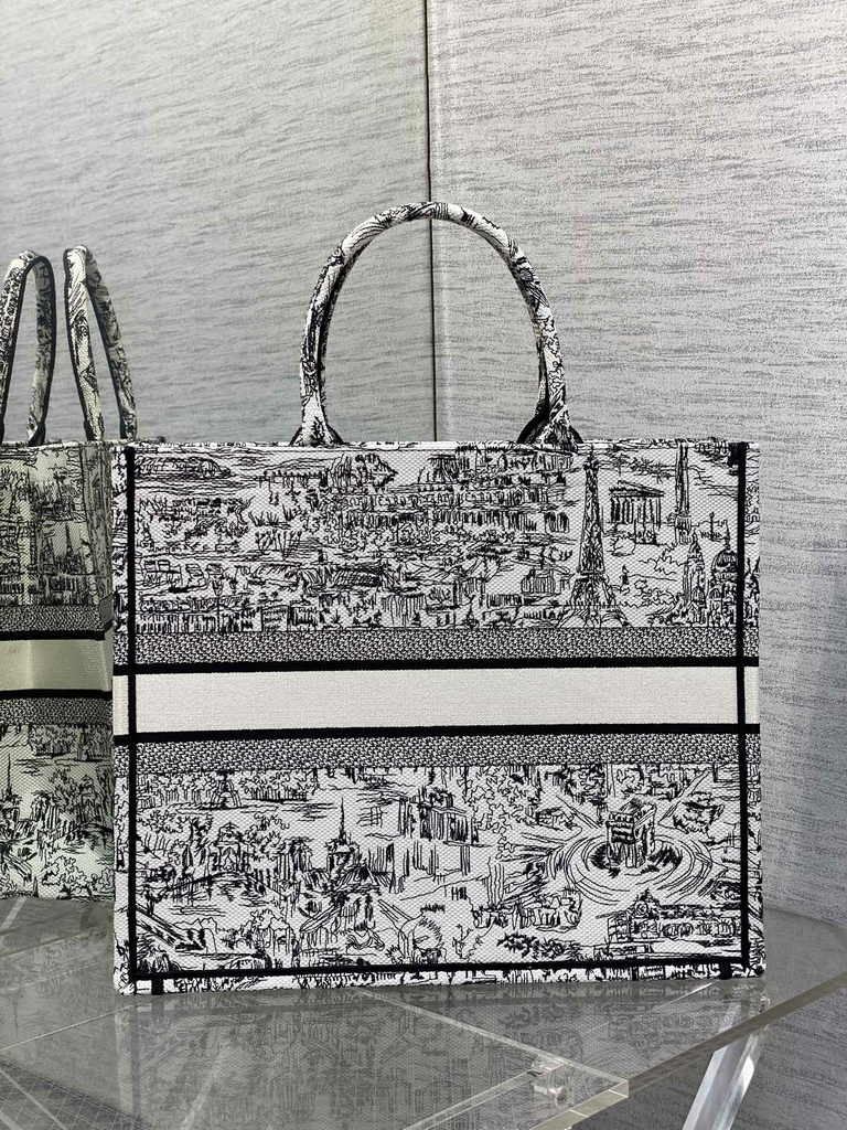 Large Dior Book Tote M1286 White and Black Paris Allover Embroidery