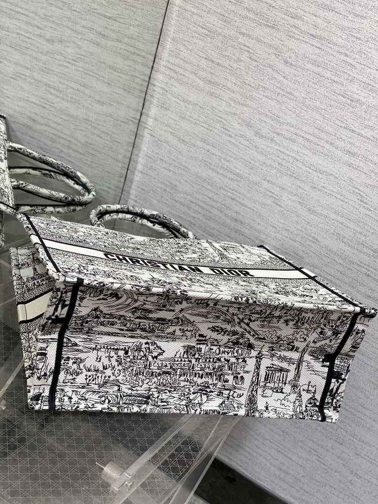 Large Dior Book Tote M1286 White and Black Paris Allover Embroidery
