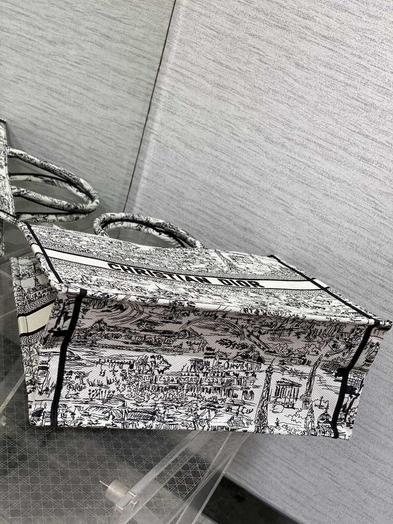 Large Dior Book Tote M1286 White and Black Paris Allover Embroidery
