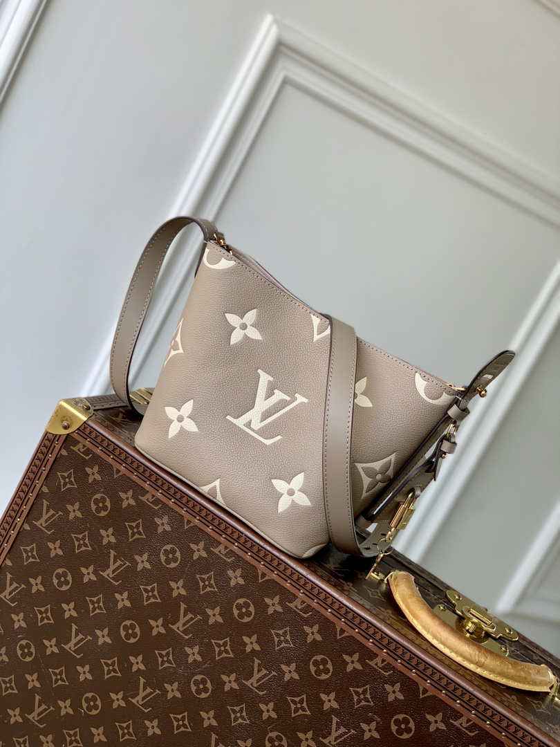 Louis Vuitton All In BB M13045 Gray Leather
