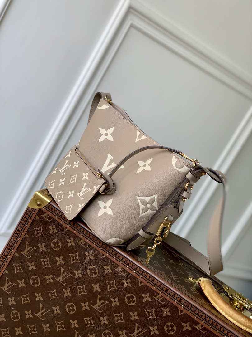 Louis Vuitton All In BB M13045 Gray Leather