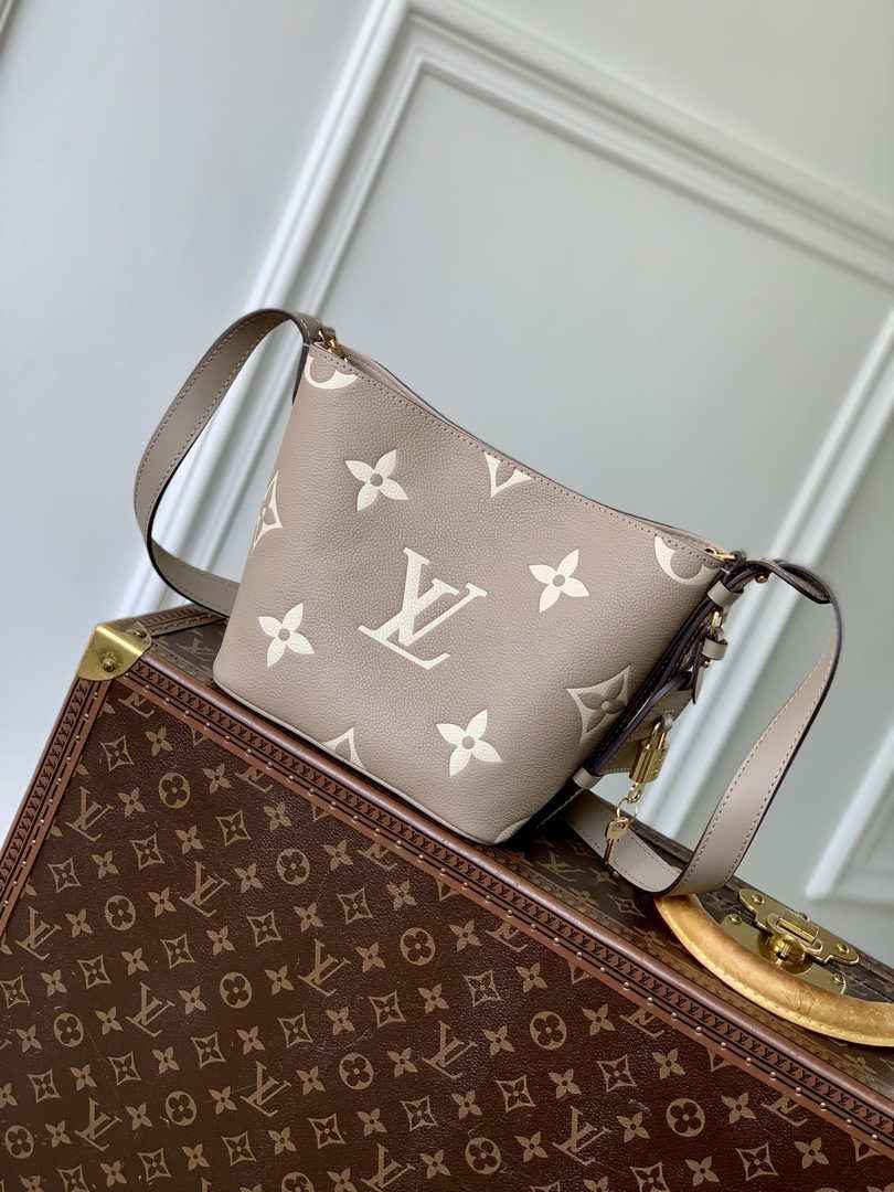 Louis Vuitton All In BB M13045 Gray Leather