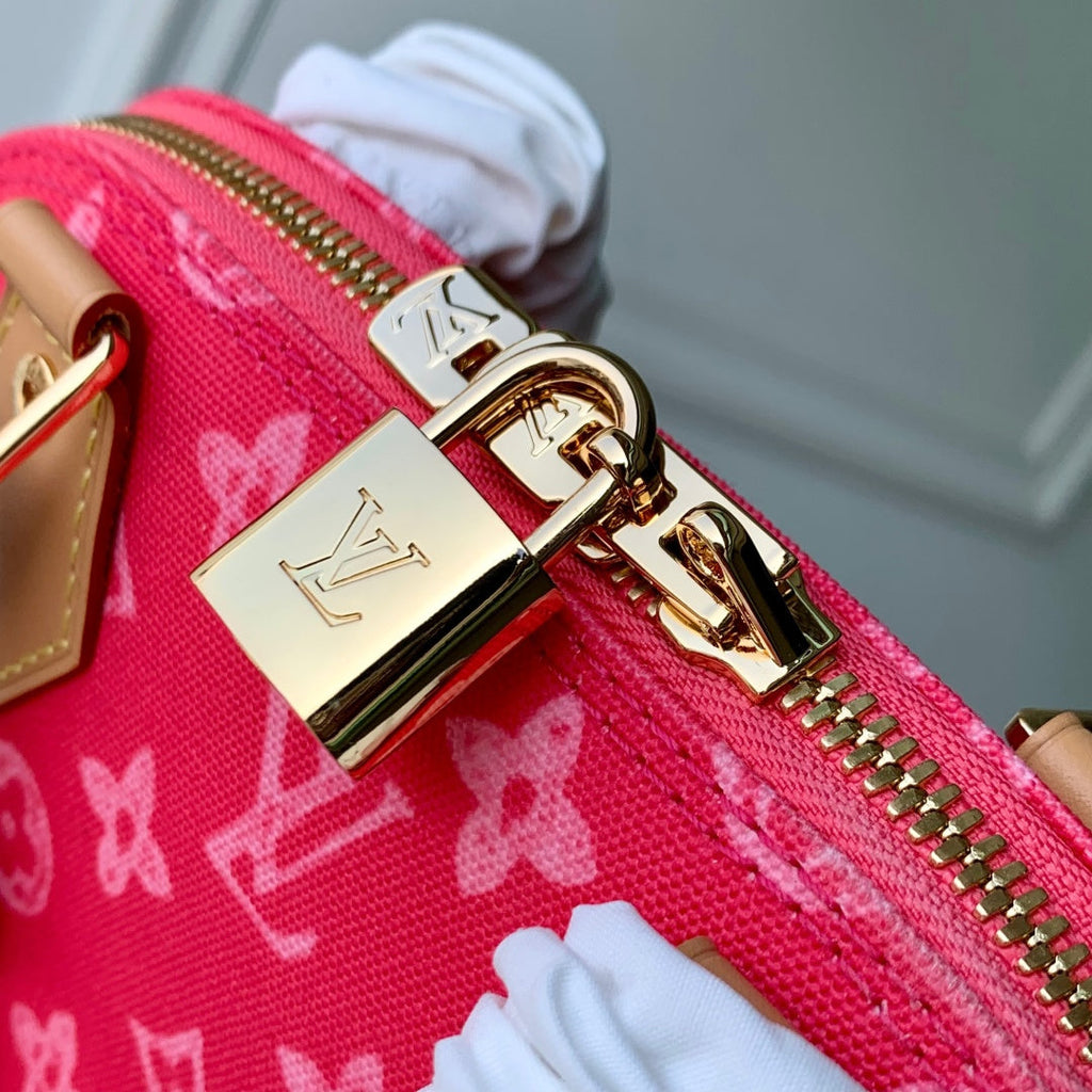 Louis Vuitton Alma BB M28272 Plum Coated canvas Gold Hardware