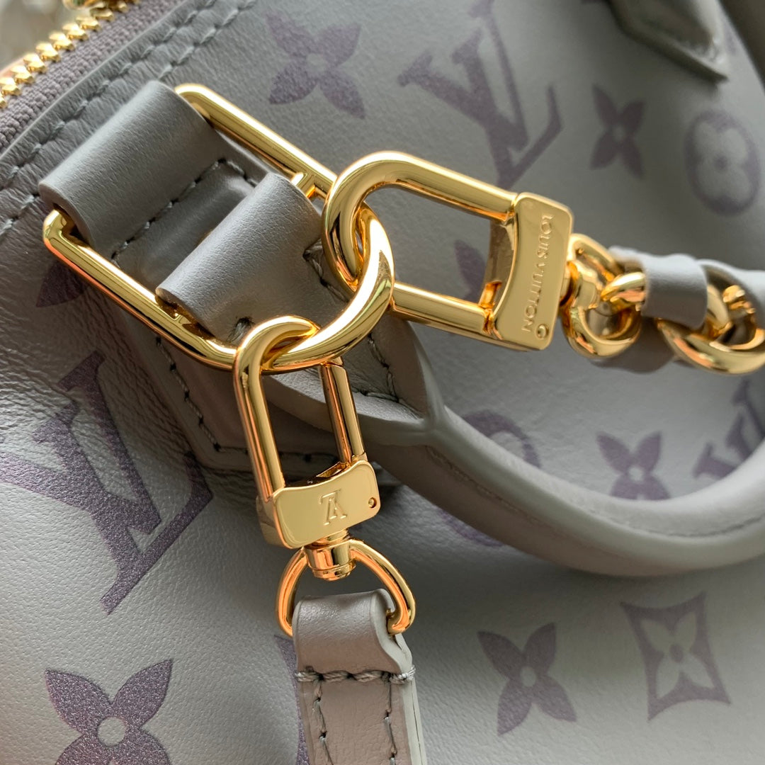 Louis Vuitton Alma BB M12561 Gray Calfskin leather Gold Hardware