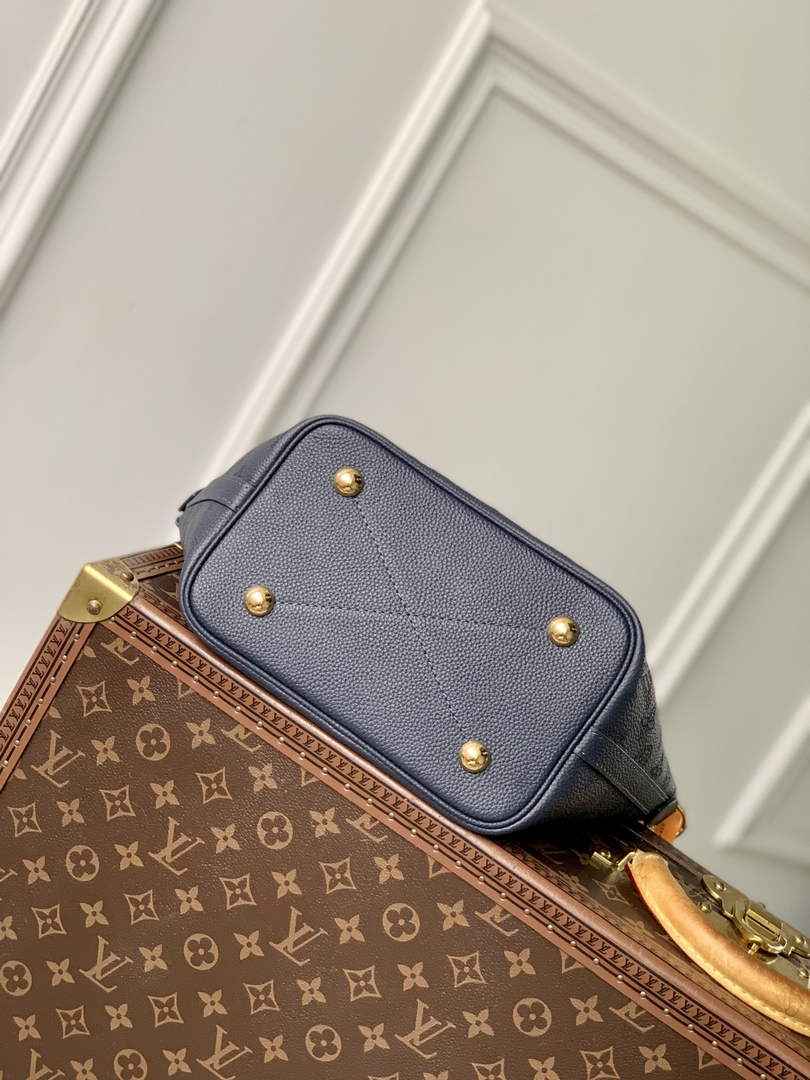 Louis Vuitton Blossom PM Bag M14317