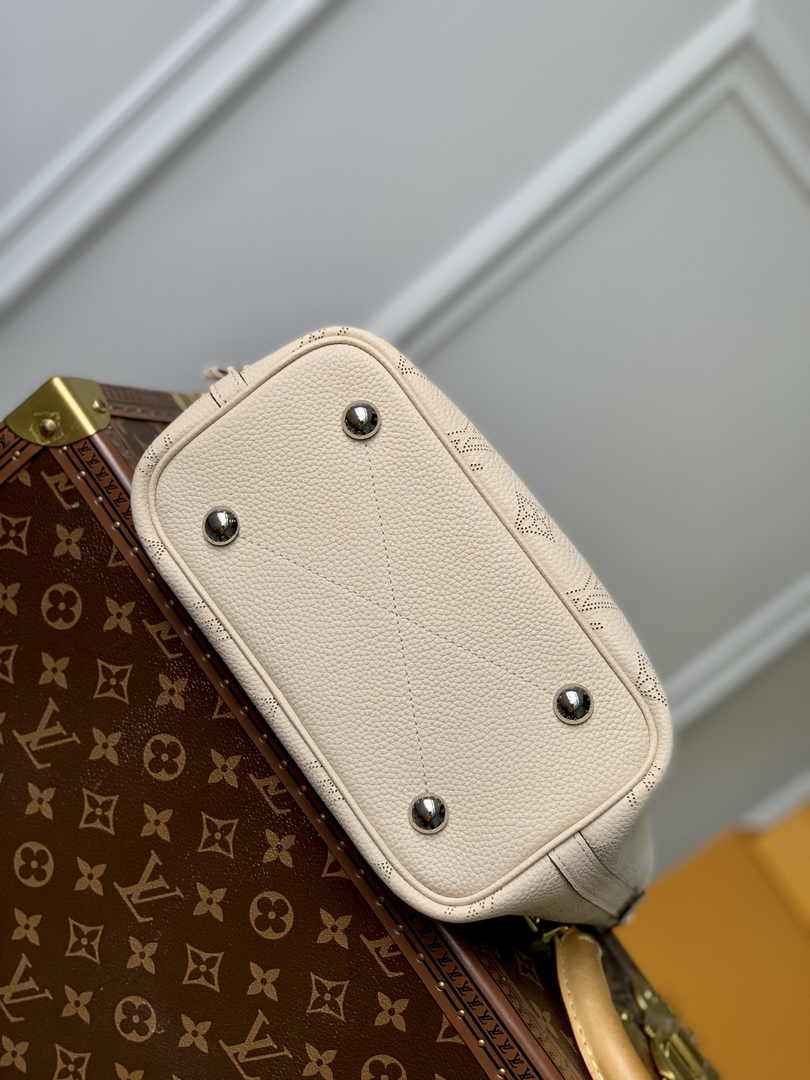 Louis Vuitton Blossom PM Bag M21909 - Default Title - View 4