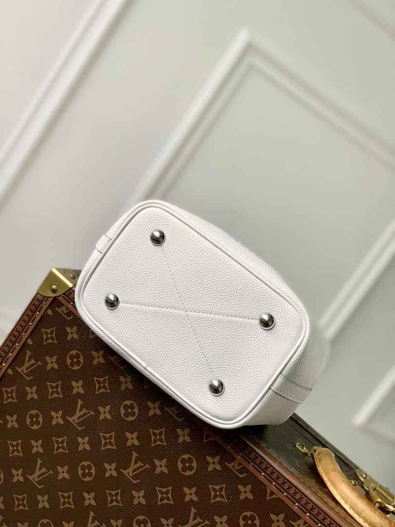 Louis Vuitton Blossom PM Bag M11734 - Default Title - View 4