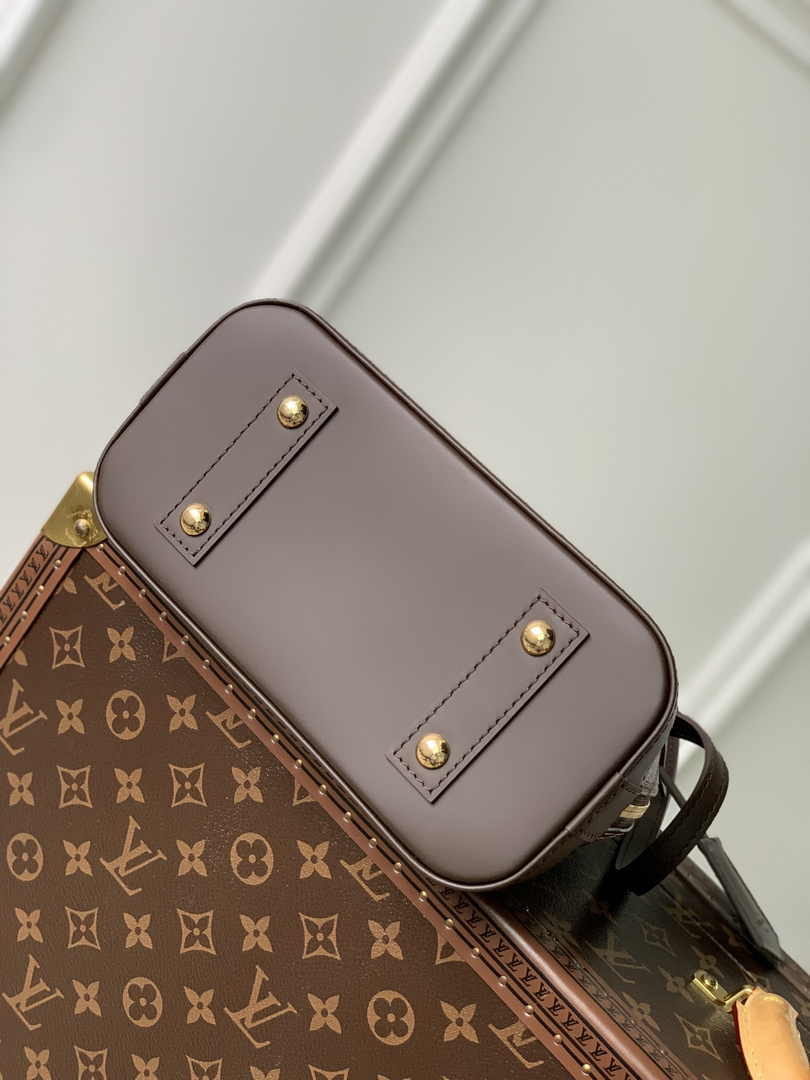 Louis Vuitton Braided Alma BB Bag N40447 Damier Ebene canvas