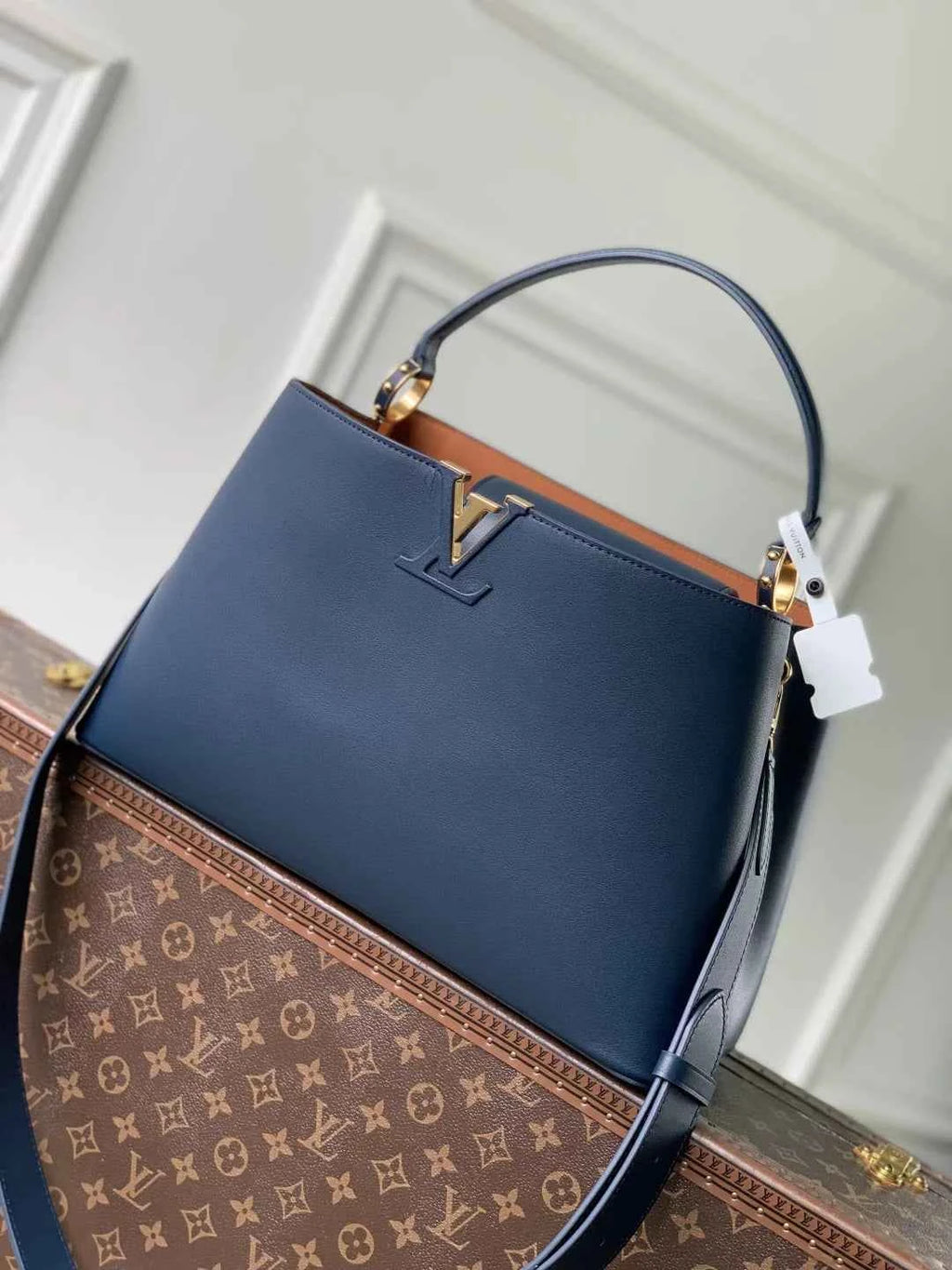 Louis Vuitton Capucines GM Souple Bag M14639 Blue