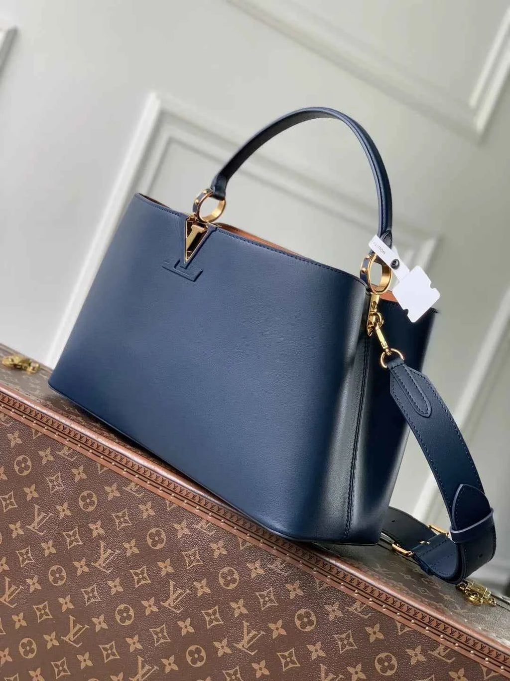 Louis Vuitton Capucines GM Souple Bag M14639 Blue