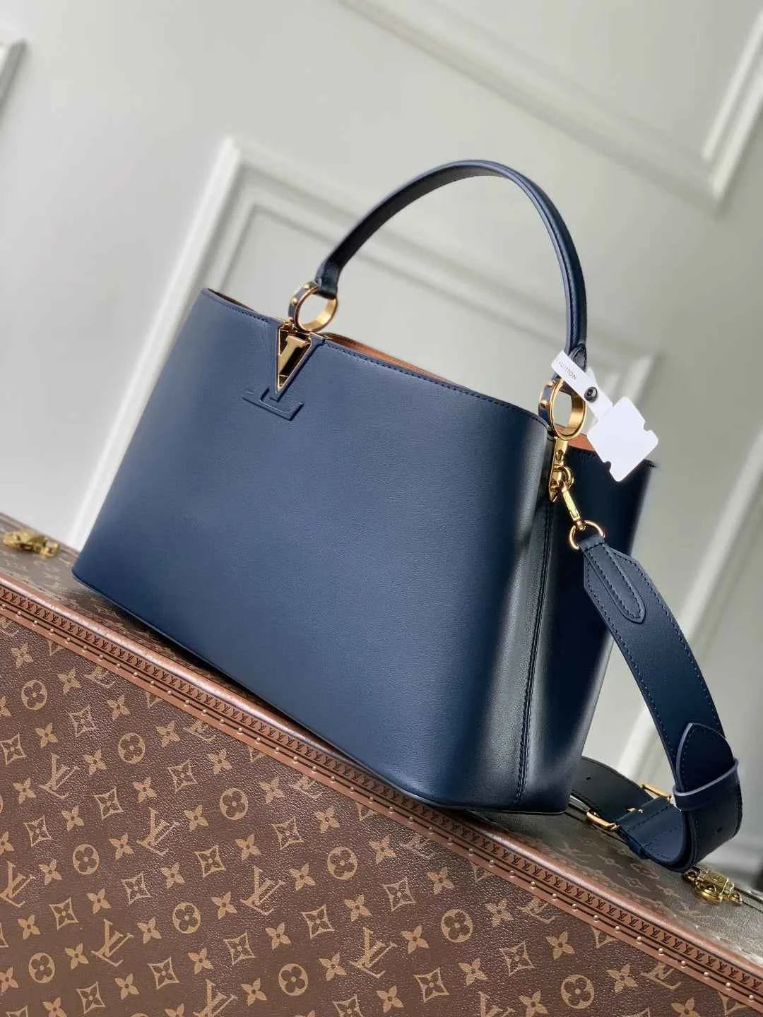 Louis Vuitton Capucines GM Souple Bag M14639 Blue