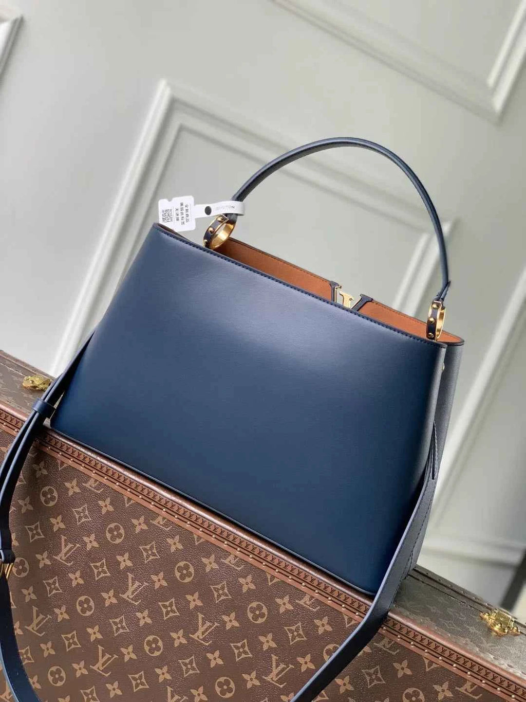 Louis Vuitton Capucines GM Souple Bag M14639 Blue