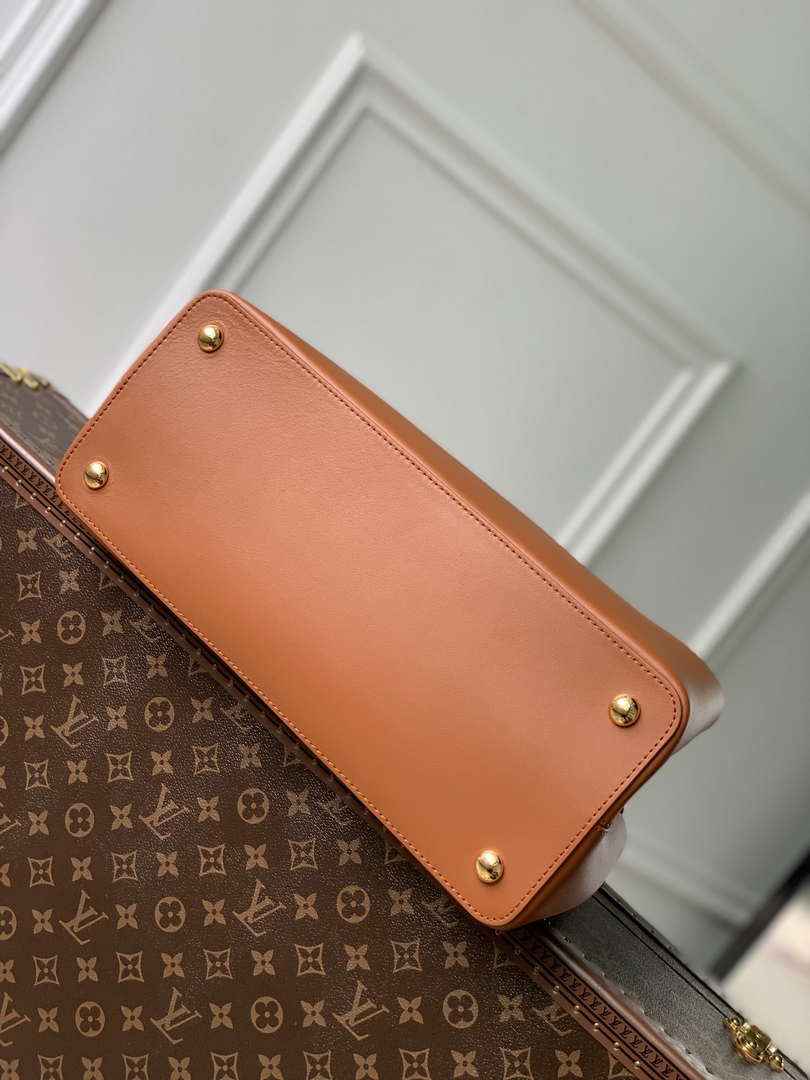 Louis Vuitton Capucines GM Souple M24879 Brown