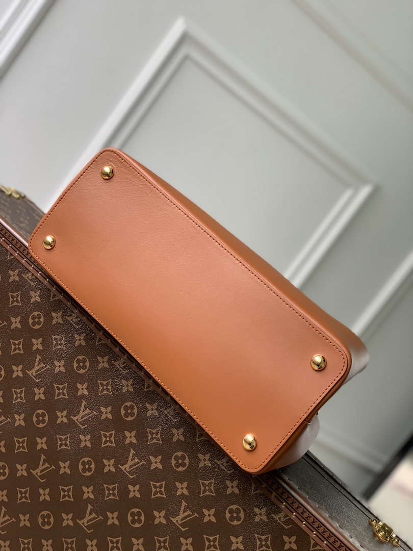 Louis Vuitton Capucines GM Souple M24879 Brown