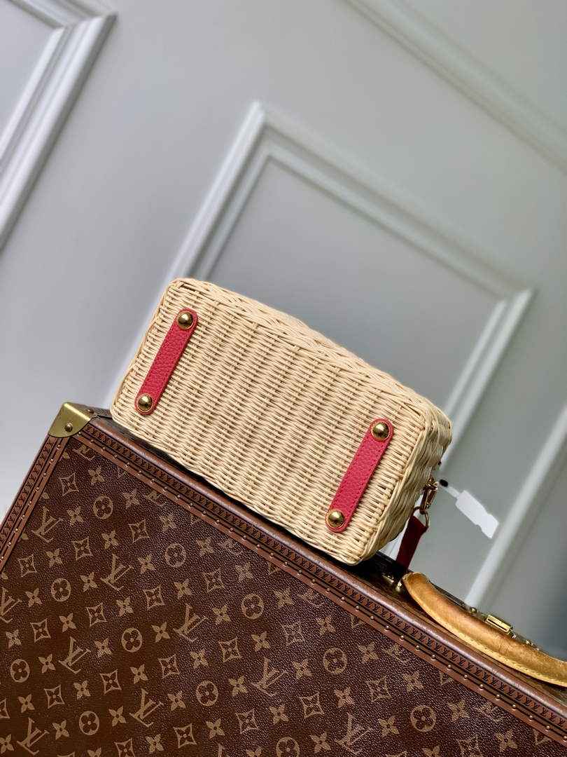 Louis Vuitton Capucines BB Bag, M26025 Plum Rattan and cowhide leather