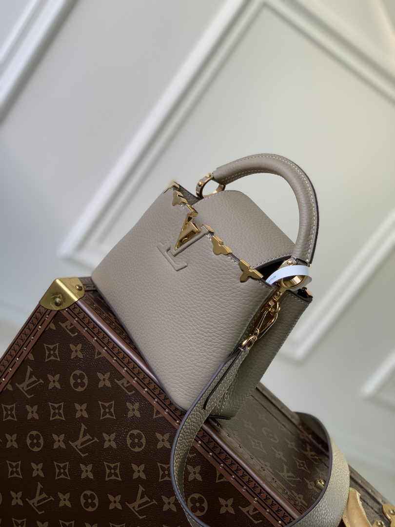 Louis Vuitton Capucines Mini M24567 Galet Taurillon leather