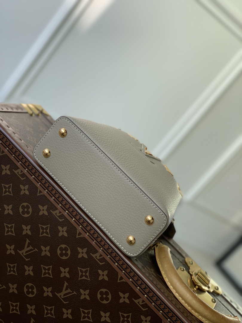 Louis Vuitton Capucines Mini M24567 Galet Taurillon leather
