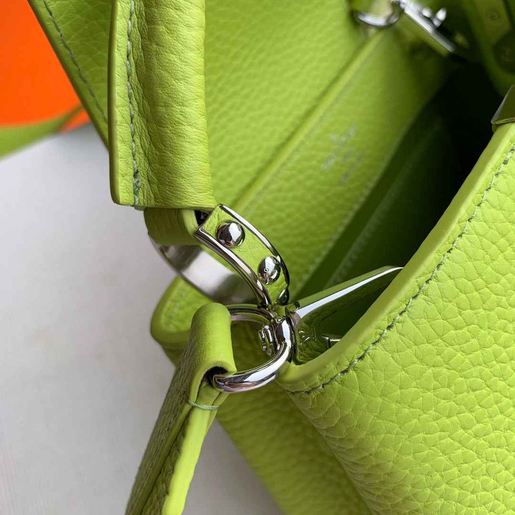 Louis Vuitton Capucines Mini Bag M56071 Light Green Leather