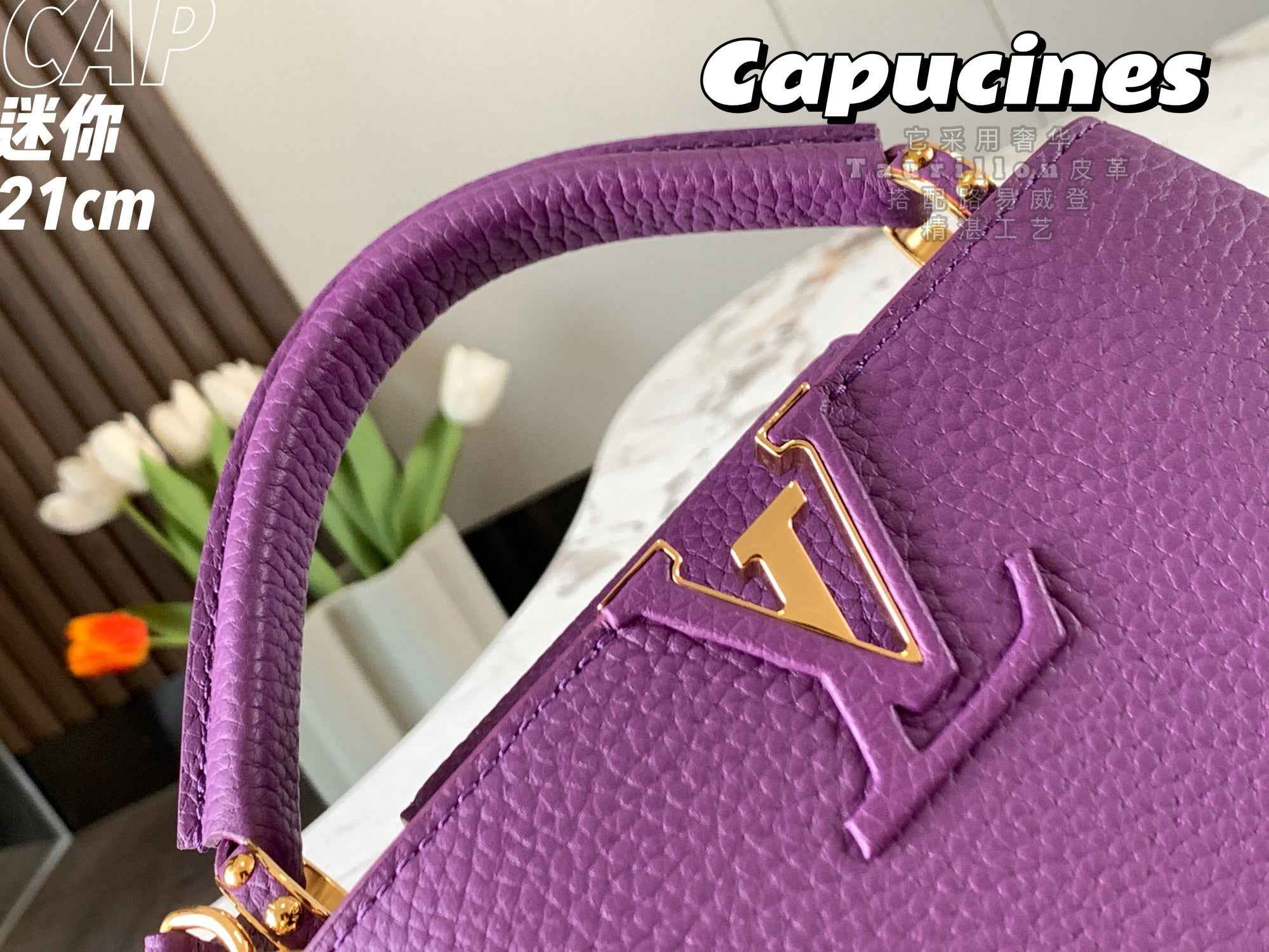 Louis Vuitton Capucines Mini Bag M56071 Purper Leather