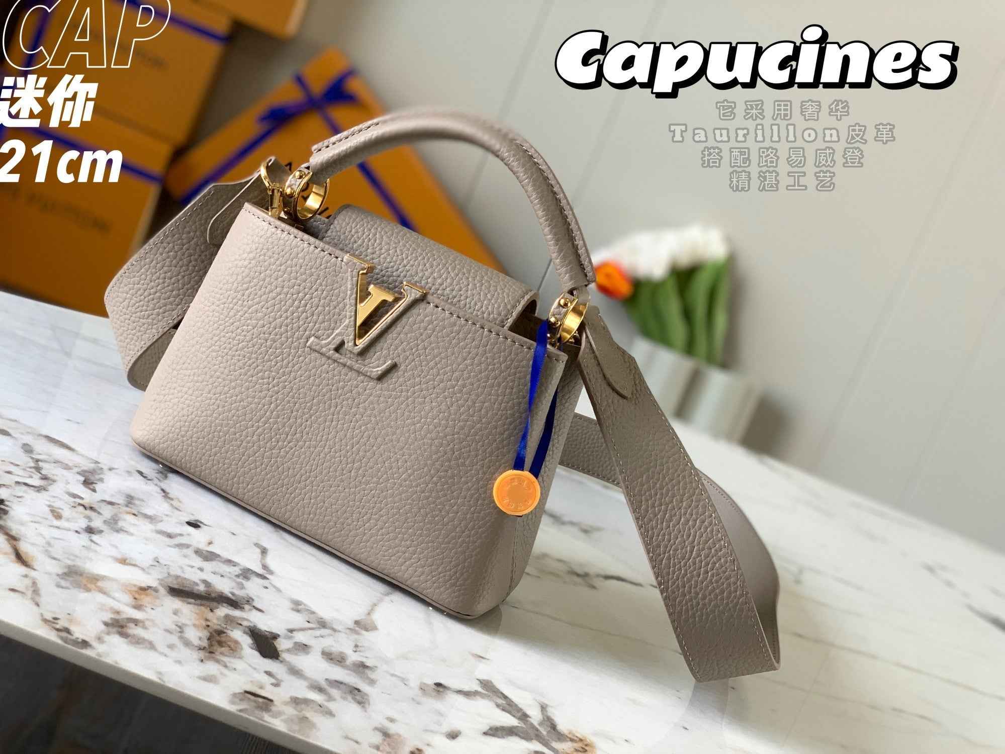 Louis Vuitton Capucines Mini Bag M56071 Gray Leather