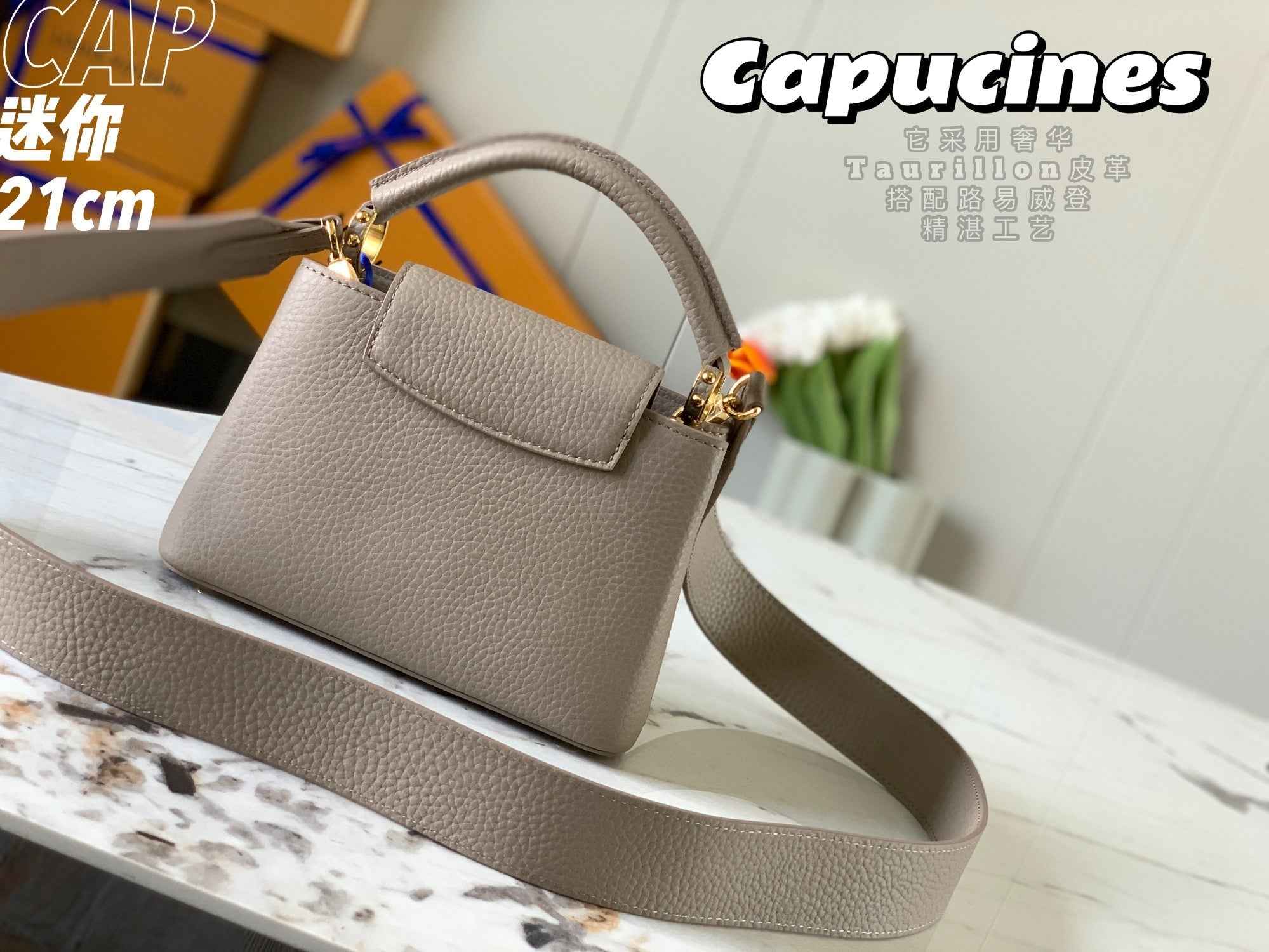 Louis Vuitton Capucines Mini Bag M56071 Gray Leather