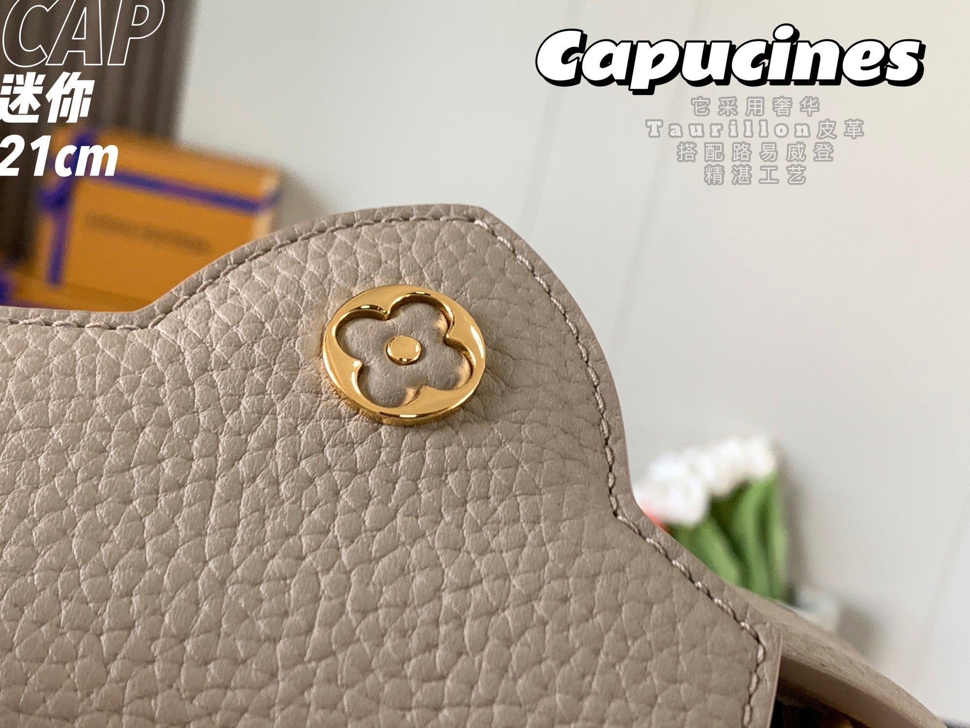 Louis Vuitton Capucines Mini Bag M56071 Gray Leather