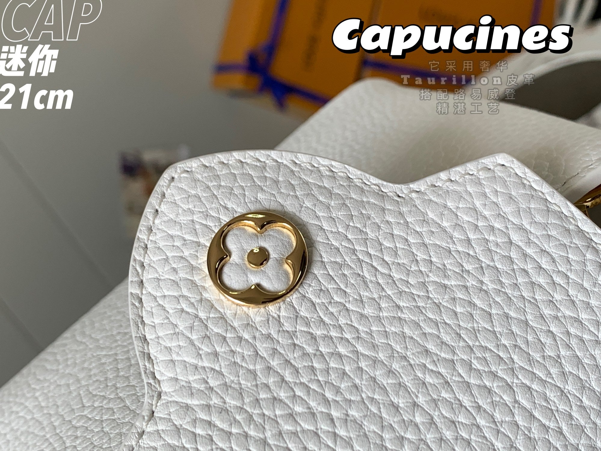 Louis Vuitton Capucines Mini Bag M56071 White Leather