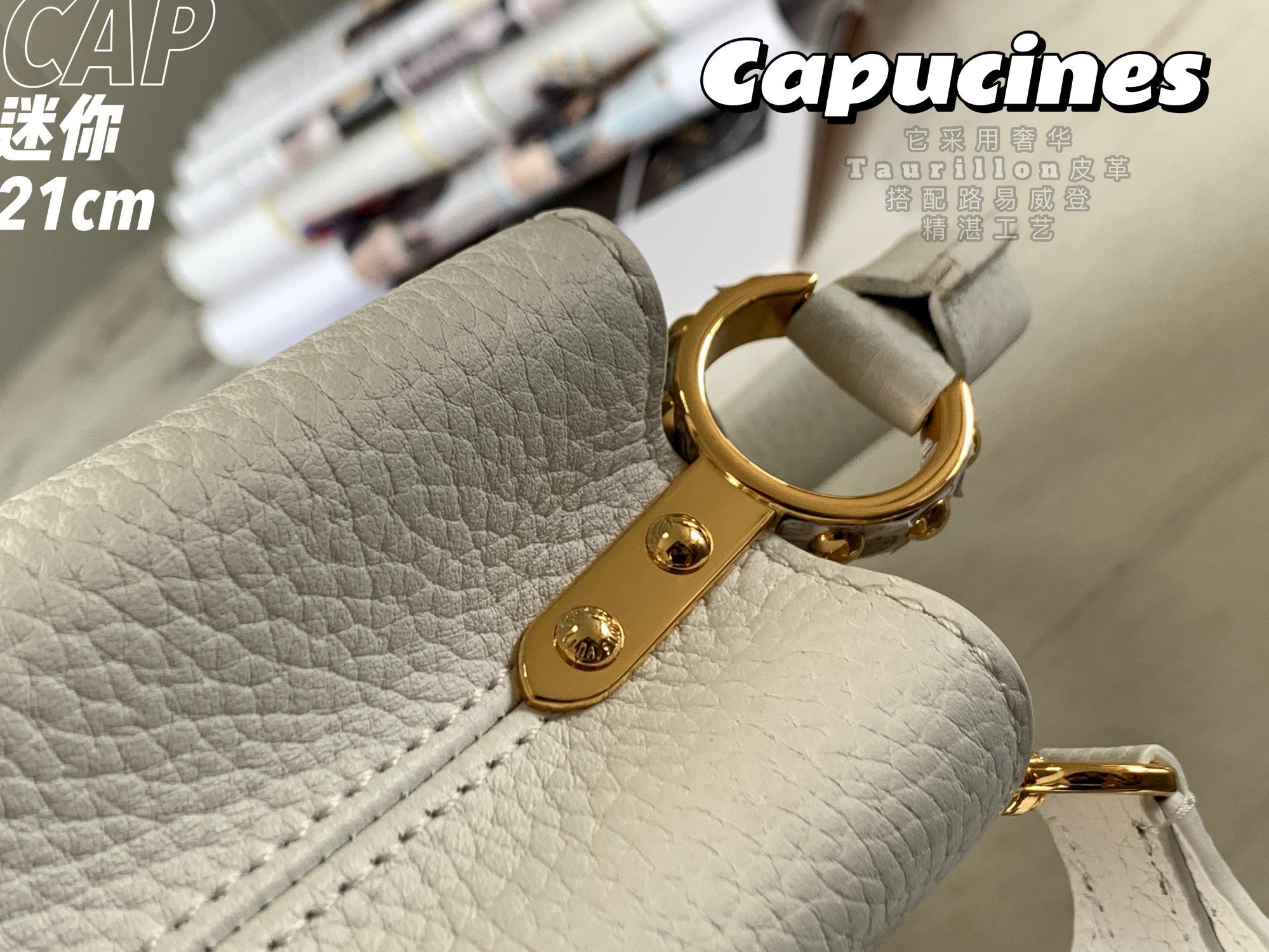 Louis Vuitton Capucines Mini Bag M56071 White Leather