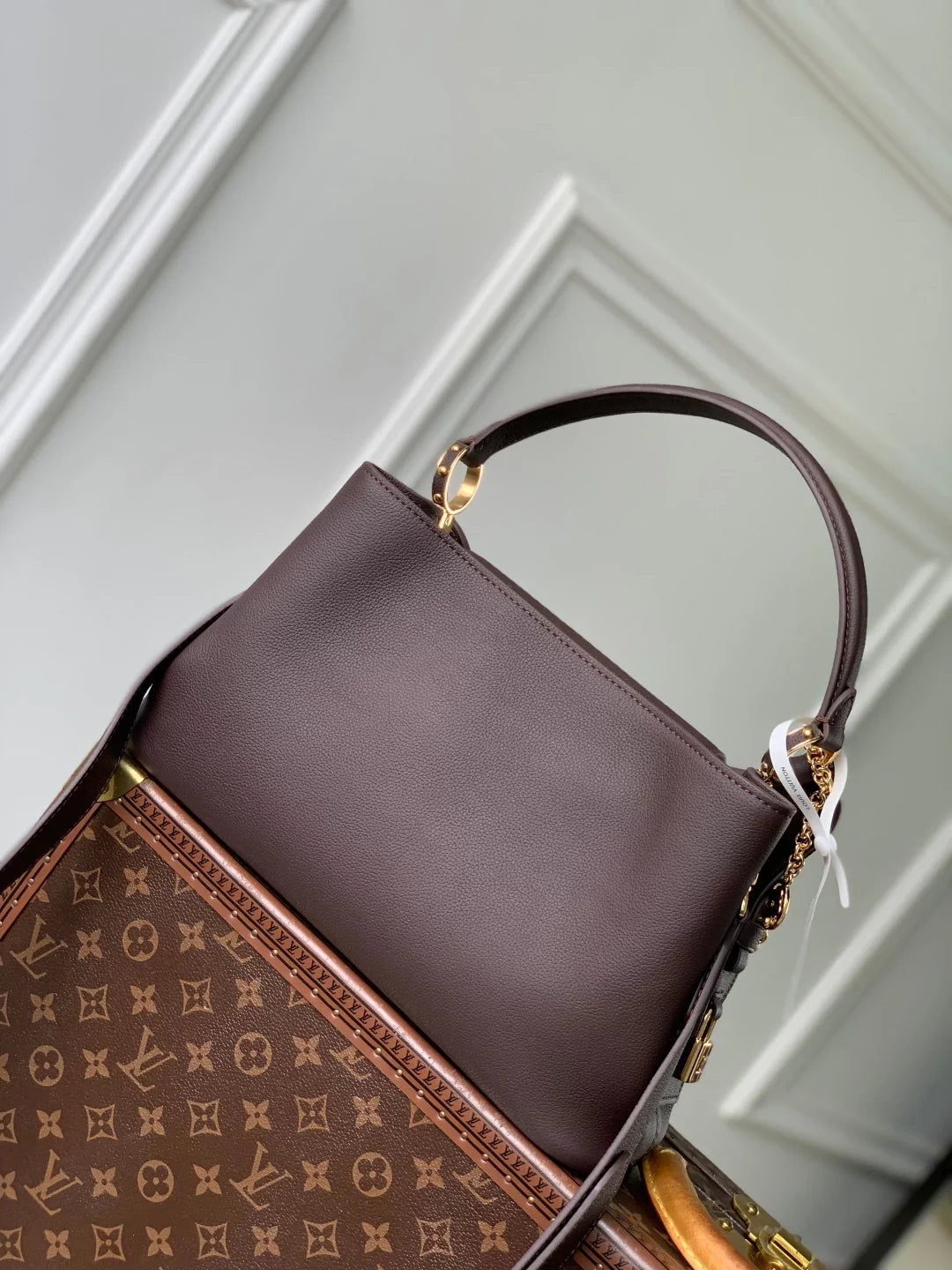 Louis Vuitton Capucines MM Souple Handbag