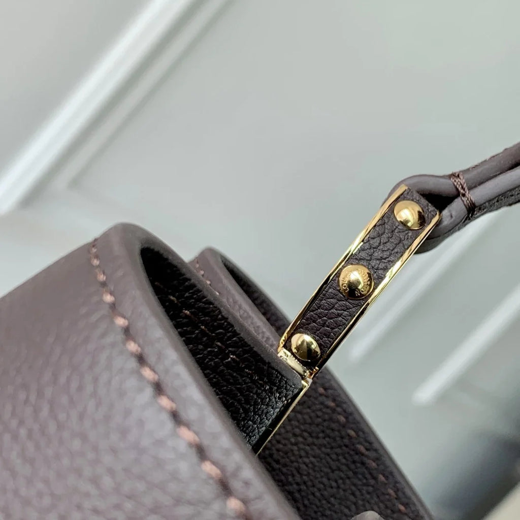 Louis Vuitton Capucines MM Souple Handbag
