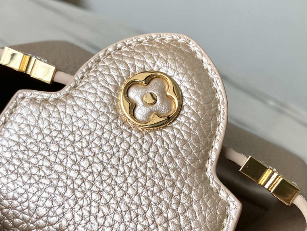 Louis Vuitton Capucines Nano M24583 Gold Taurillon leather