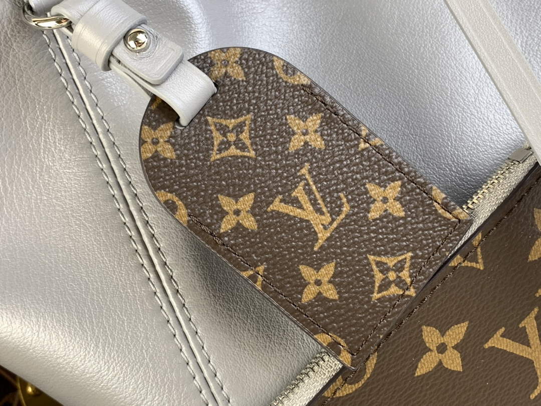 Louis Vuitton CarryAll MM Bag M12583 Gray Lambskin
