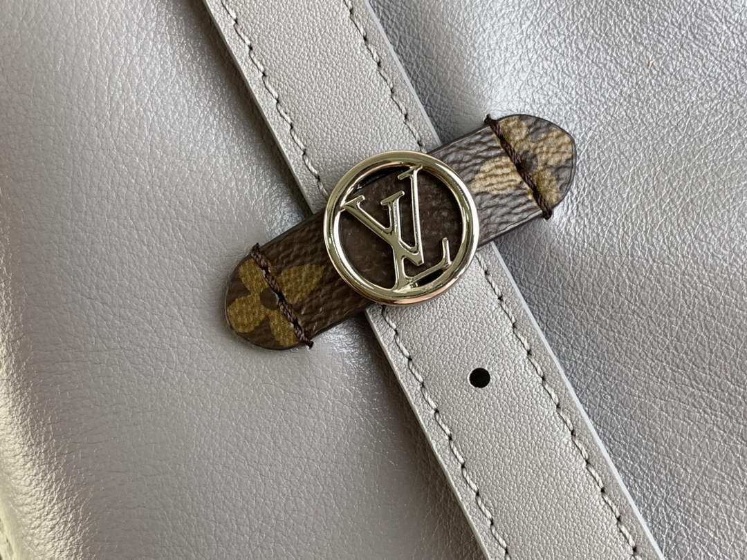 Louis Vuitton CarryAll MM Bag M12583 Gray Lambskin