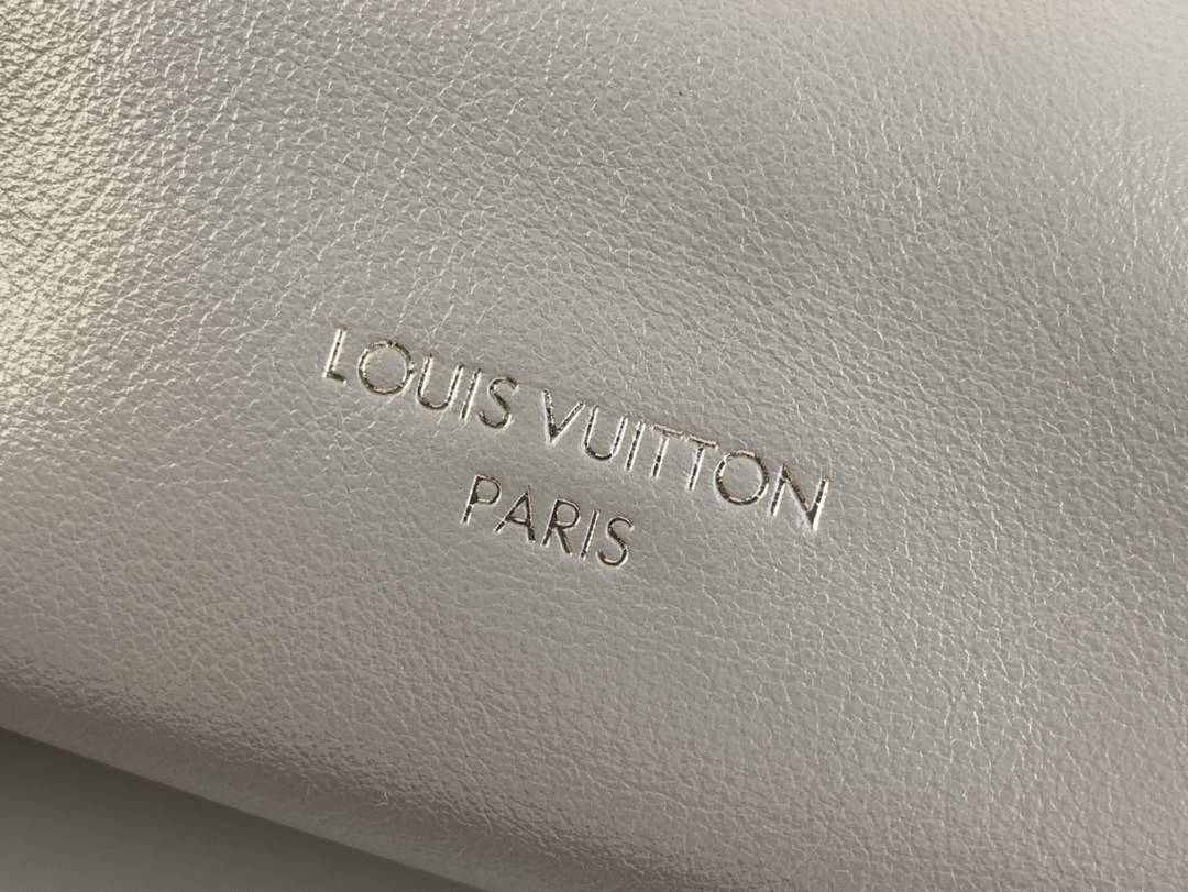 Louis Vuitton CarryAll PM Bag M12579 Gray Lambskin