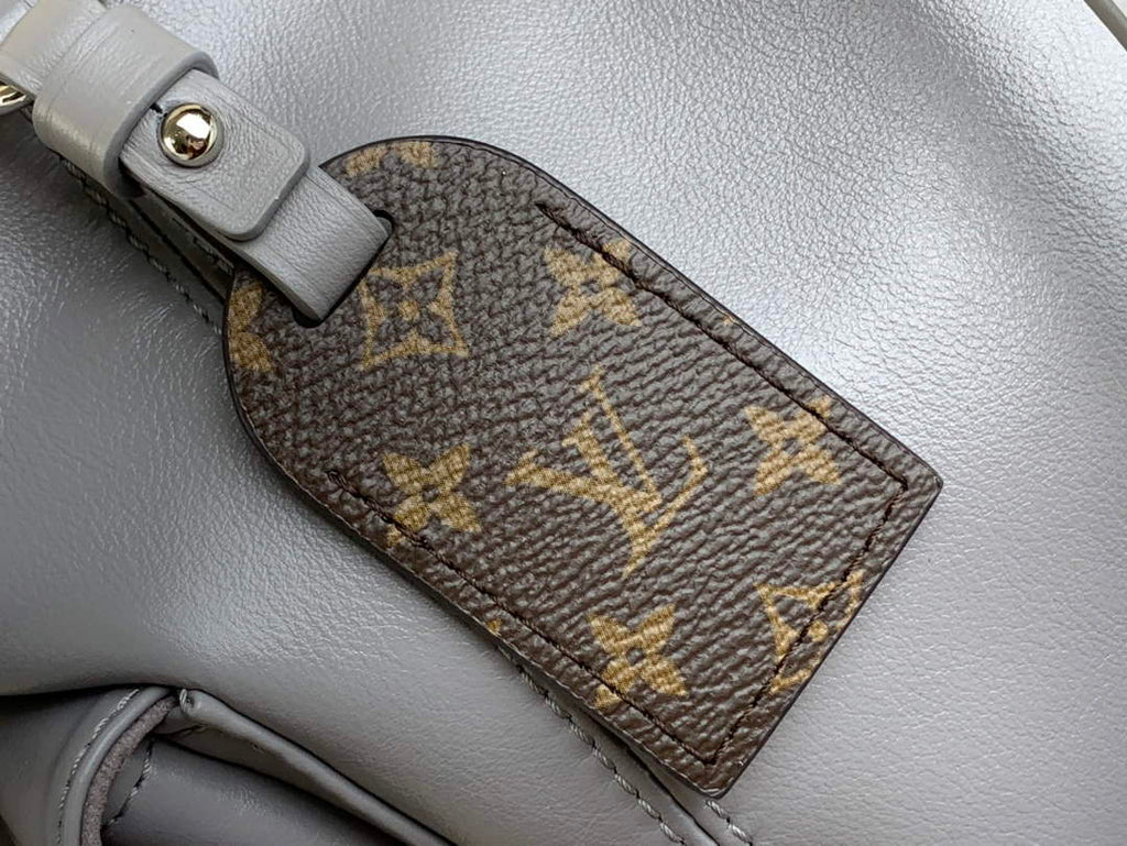 Louis Vuitton CarryAll PM Bag M12579 Gray Lambskin
