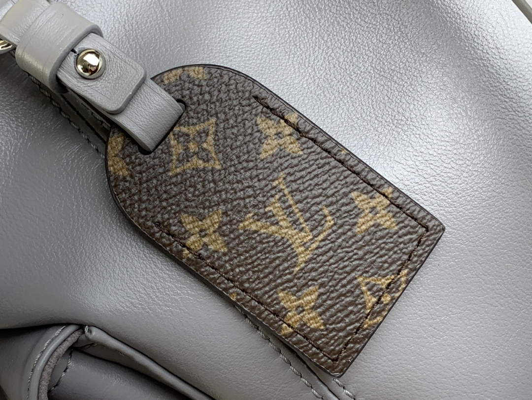 Louis Vuitton CarryAll PM Bag M12579 Gray Lambskin