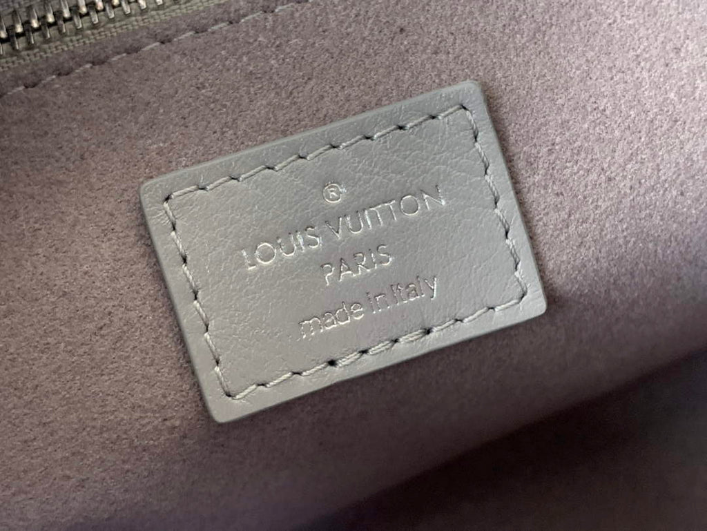 Louis Vuitton CarryAll PM Bag M12579 Gray Lambskin