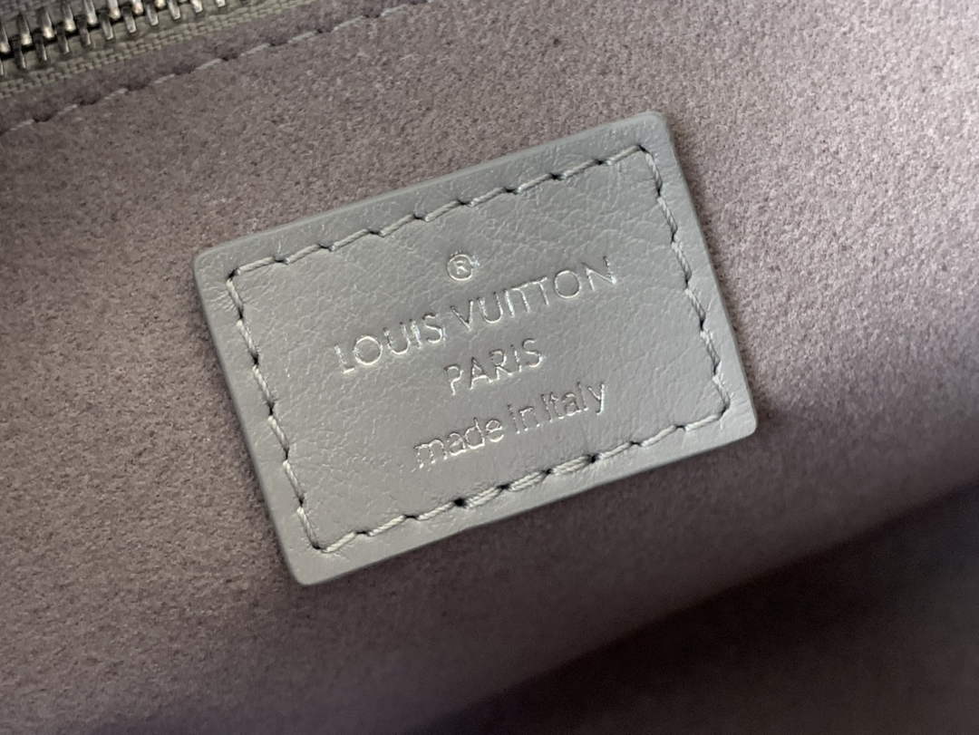 Louis Vuitton CarryAll PM Bag M12579 Gray Lambskin