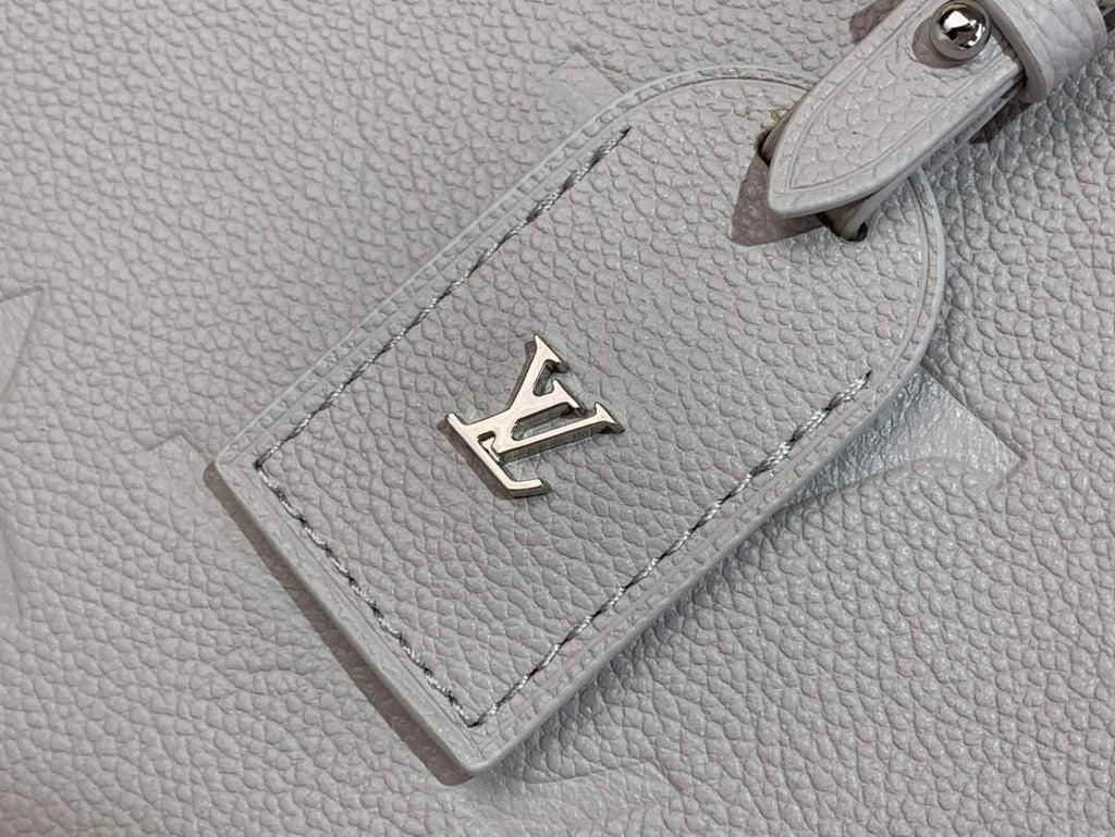 Louis Vuitton CarryAll PM Bag M12917 Gray Leather