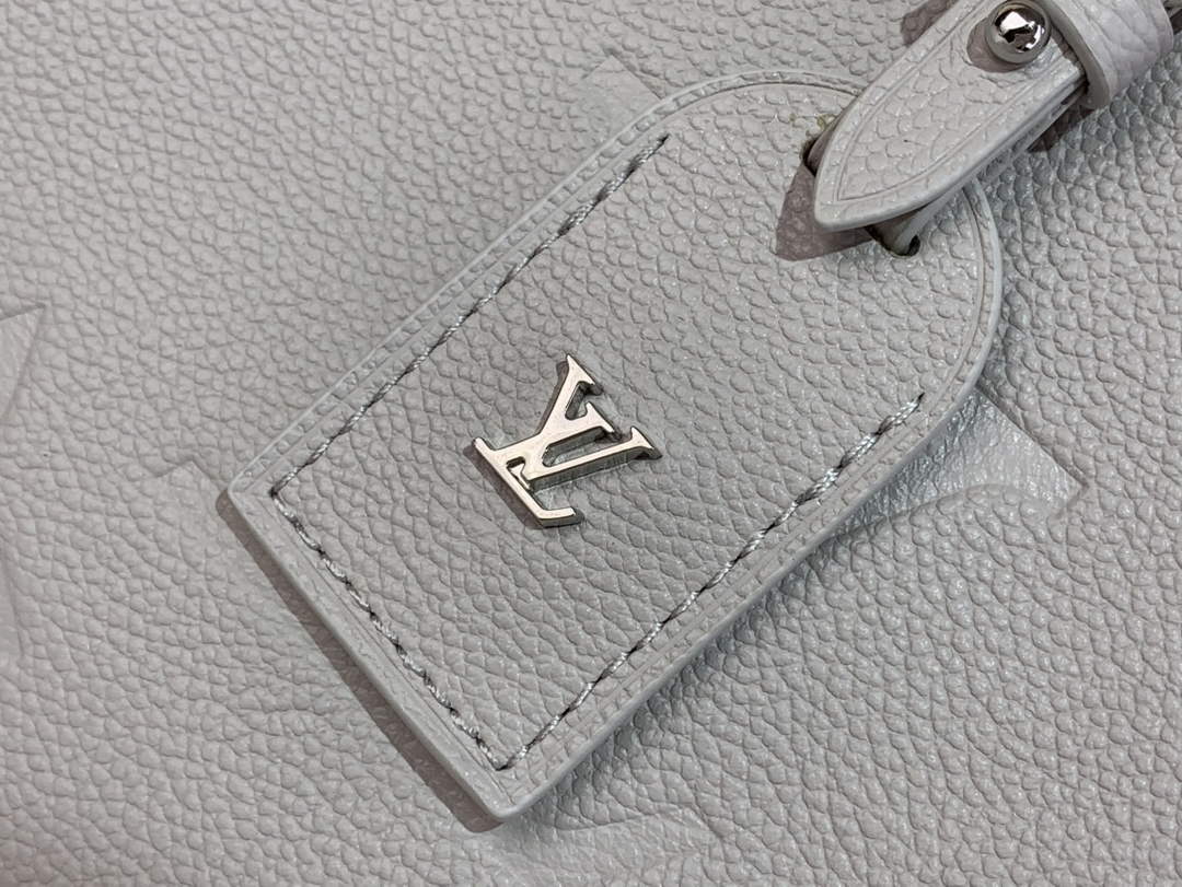 Louis Vuitton CarryAll PM Bag M12917 Gray Leather